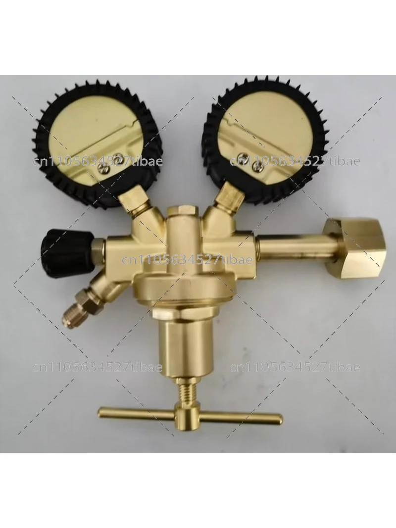 Nitrate Reductase - High Pressure Nitrogen Regulator 70Bar Outlet