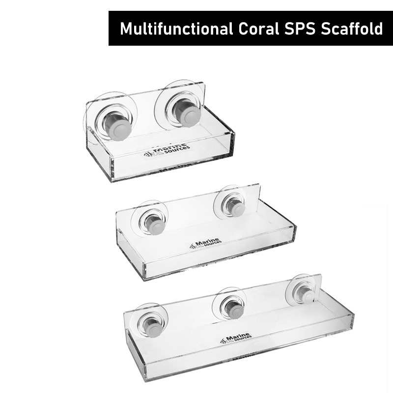 Marine Coral - Marine Sources Multi-functional Coral SPS Scaffold