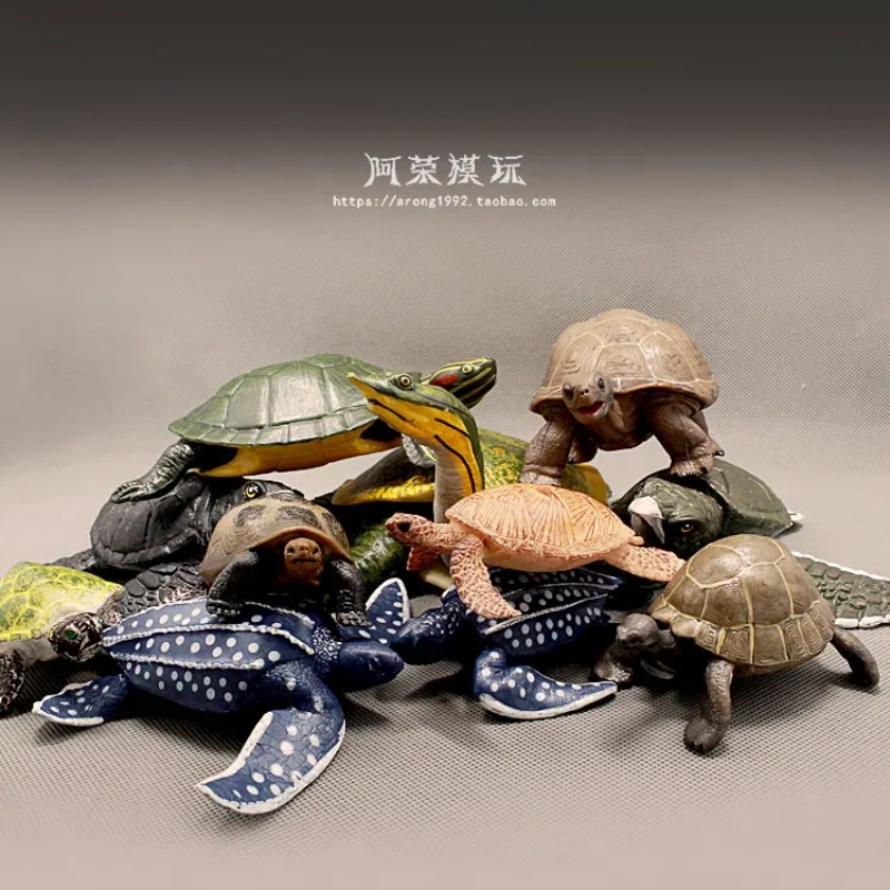 Leatherback Red-eared Turtle L - Ocean Aquarium ulasan dan harga