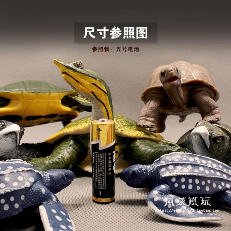 Leatherback Red-eared Turtle L - Ocean Aquarium ulasan dan harga