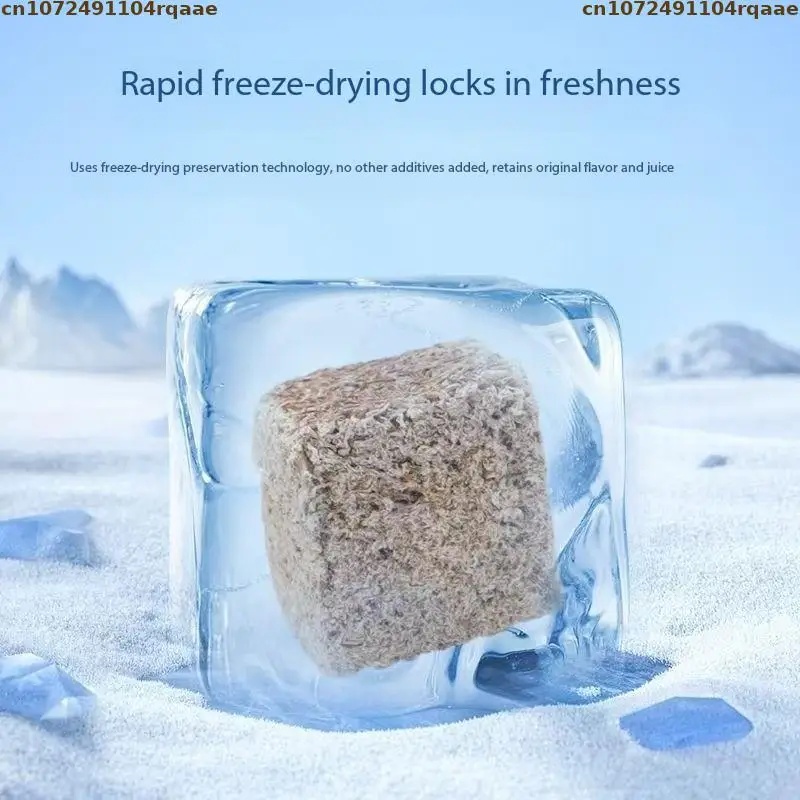Natural Freeze Dried Bloodworm - Marine Aquarium Cube ulasan dan harga