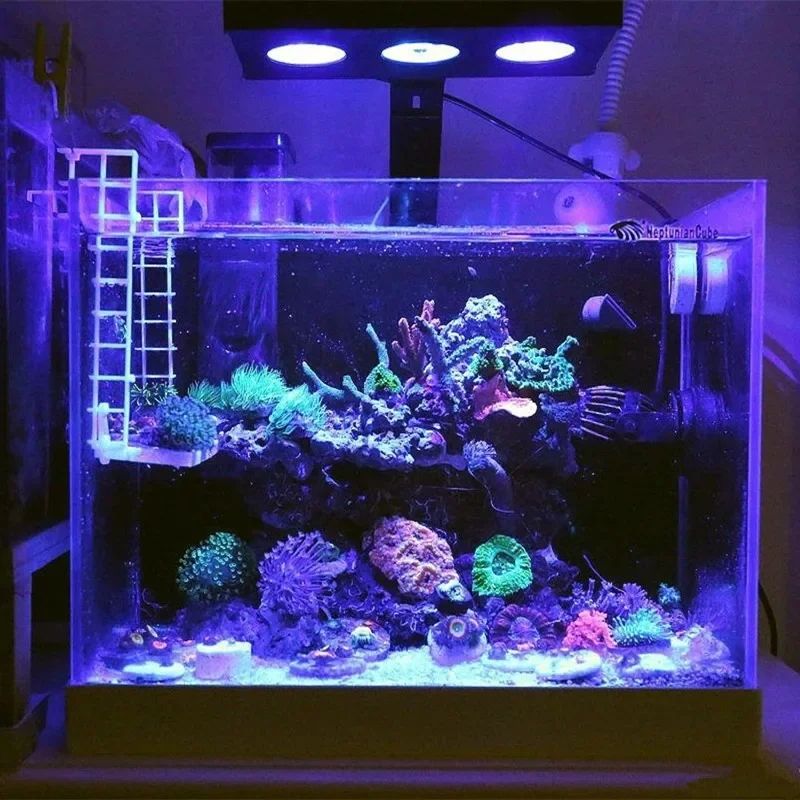 Spectra Nano 029 Led Aquarium  - Reef Lighting ulasan dan harga