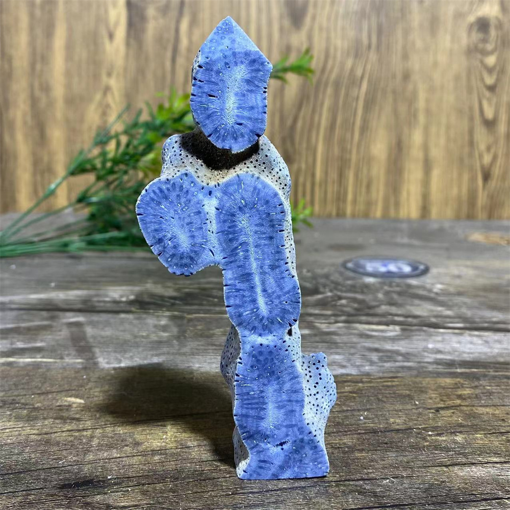Natural Blue Ocean Coral Speci - Marine Coral ulasan dan harga