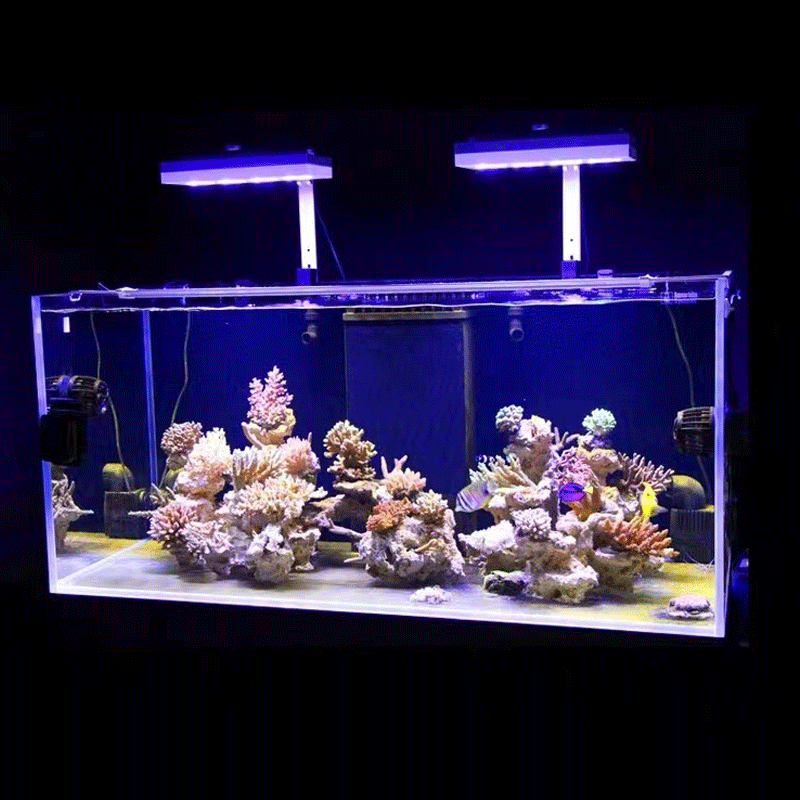 Aqua Illumination AI Hydra 32H - Reef Lighting ulasan dan harga