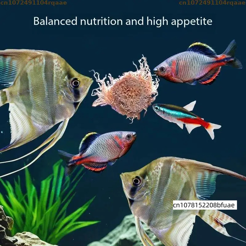 Aquarium Fish Feeder Matching  - Marine Aquarium Cube ulasan dan harga