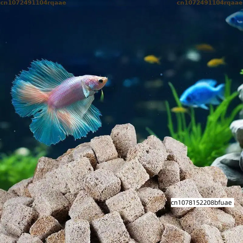 Aquarium Fish Feeder Matching  - Marine Aquarium Cube ulasan dan harga