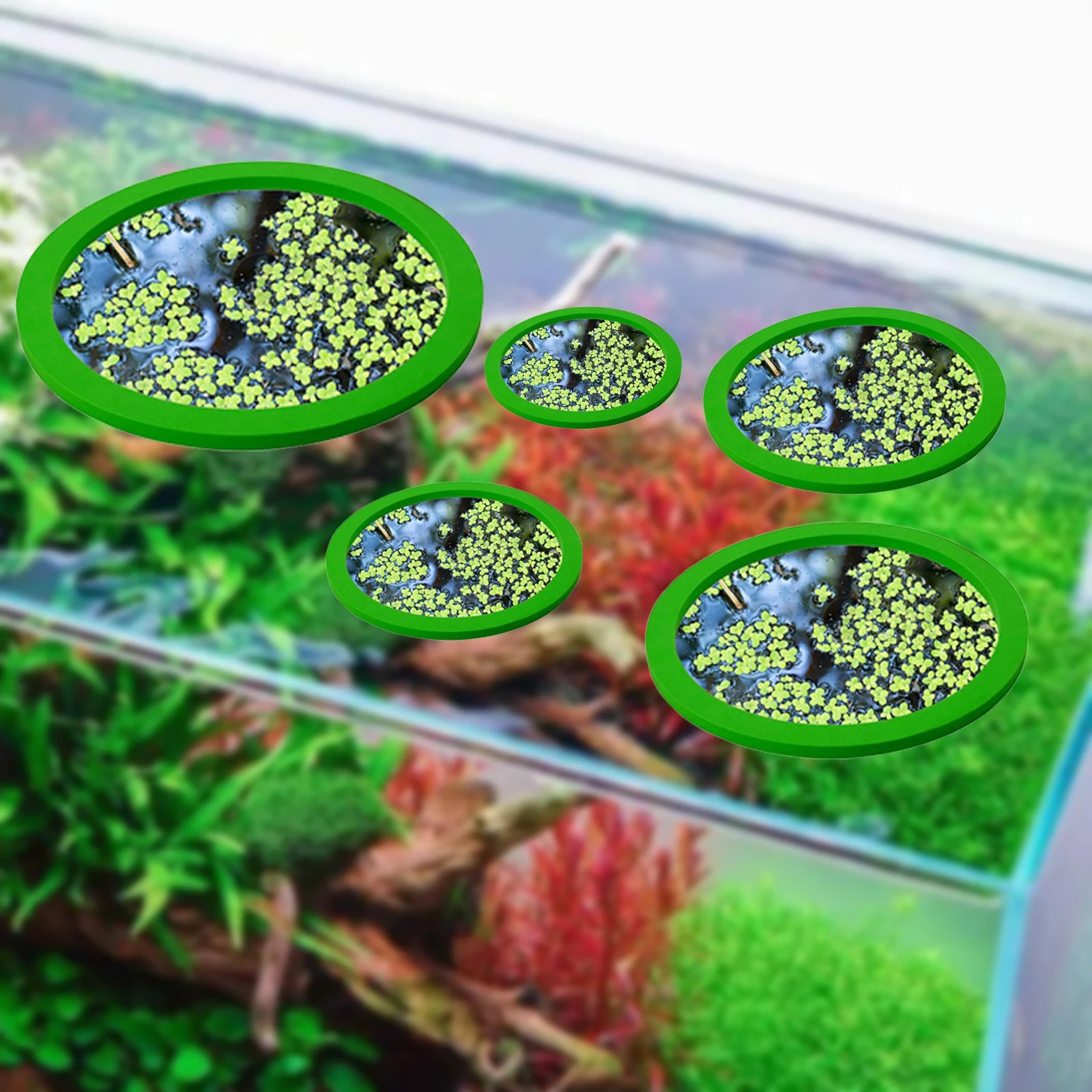 5Pcs EVA Fish Feeding Ring Aqu - Ocean Aquarium ulasan dan harga
