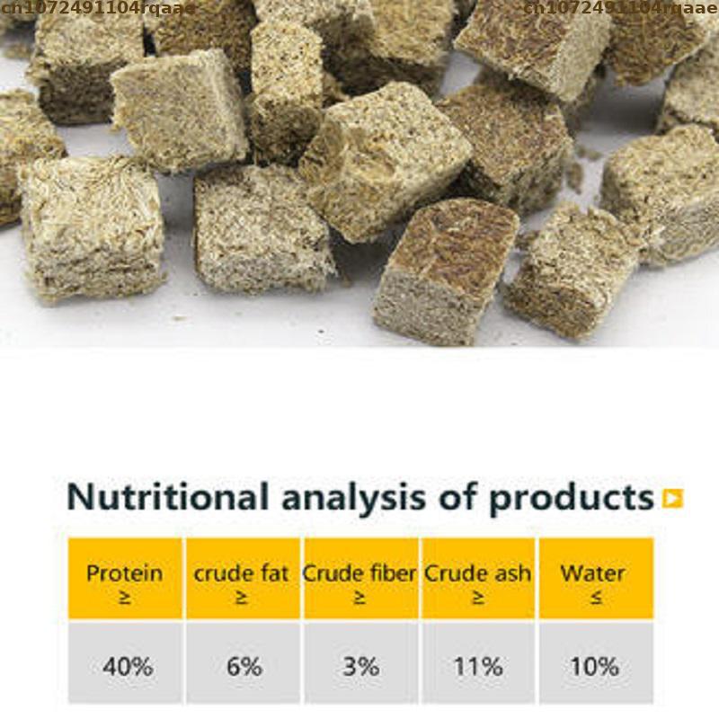 Natural Freeze Dried Bloodworm - Marine Aquarium Cube ulasan dan harga