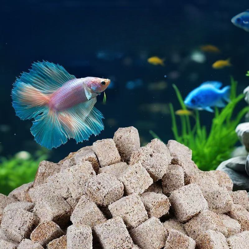 Natural Freeze Dried Bloodworm - Marine Aquarium Cube ulasan dan harga