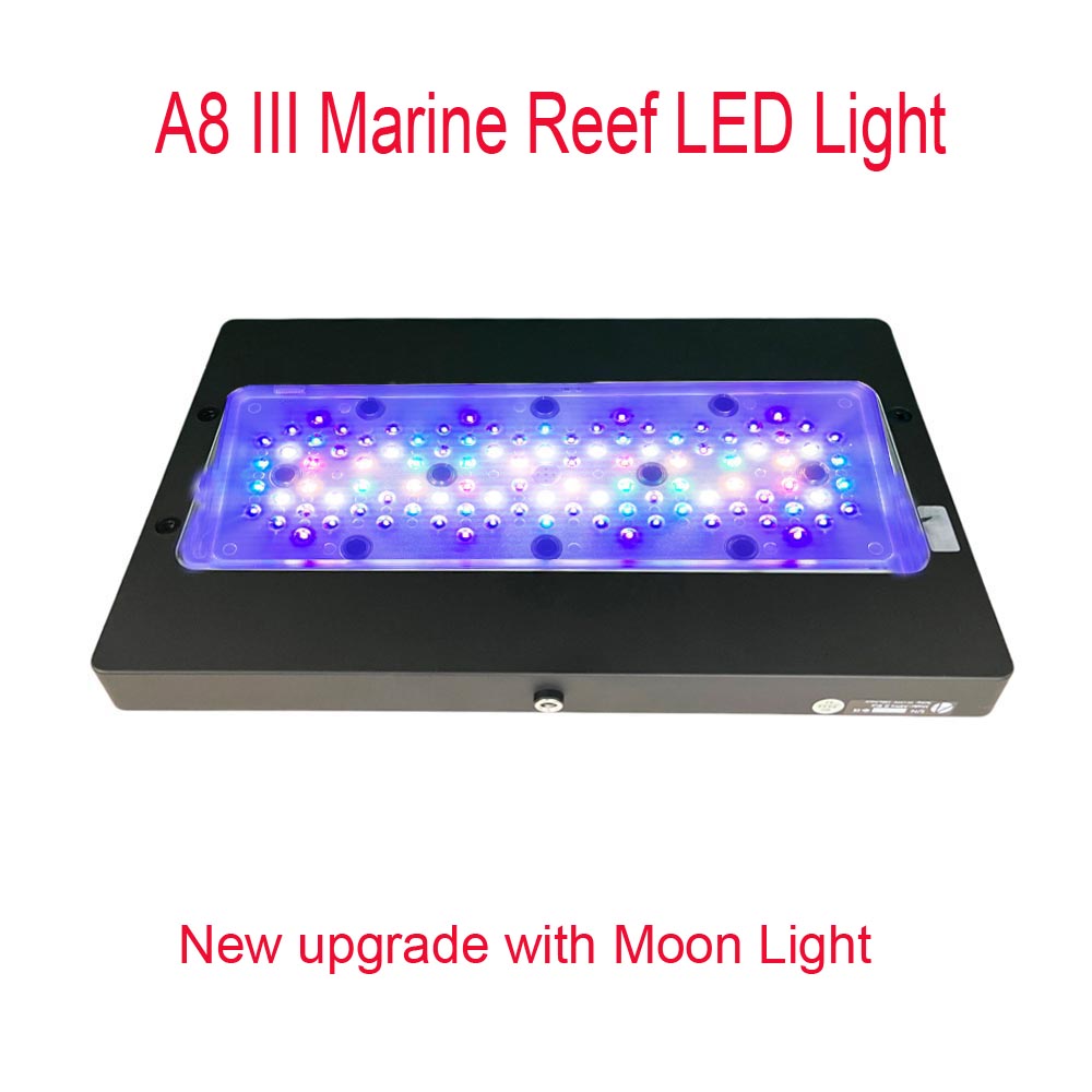 A8 III Moon light Powerful Mar - Marine Coral ulasan dan harga