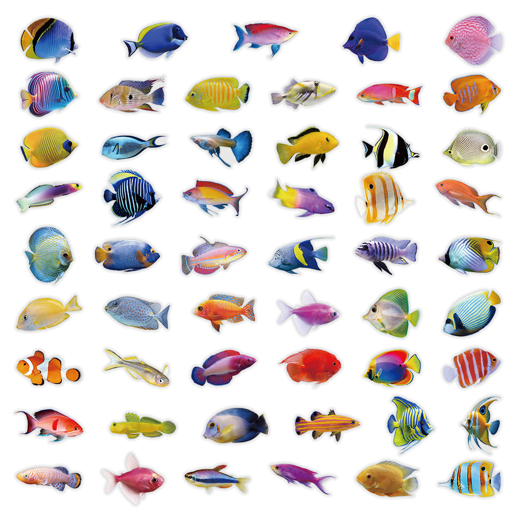 50-100PCS Transparent PET Cora - Marine Coral ulasan dan harga