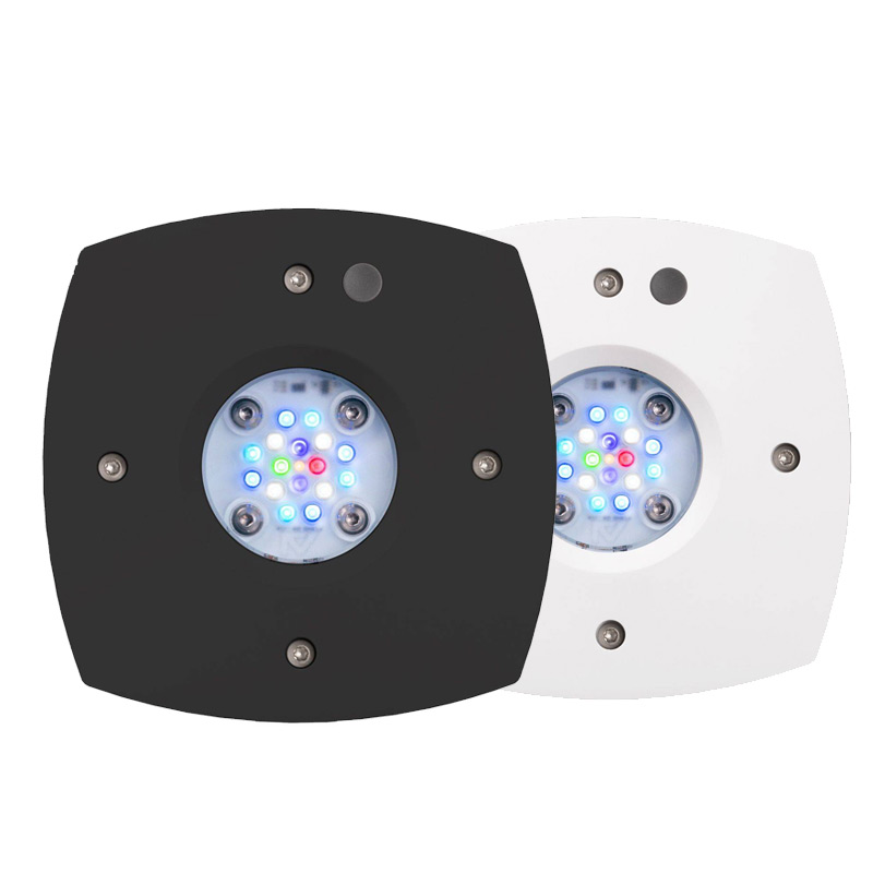 Prime 16 HD LED Reef Light, Or - Reef Lighting ulasan dan harga
