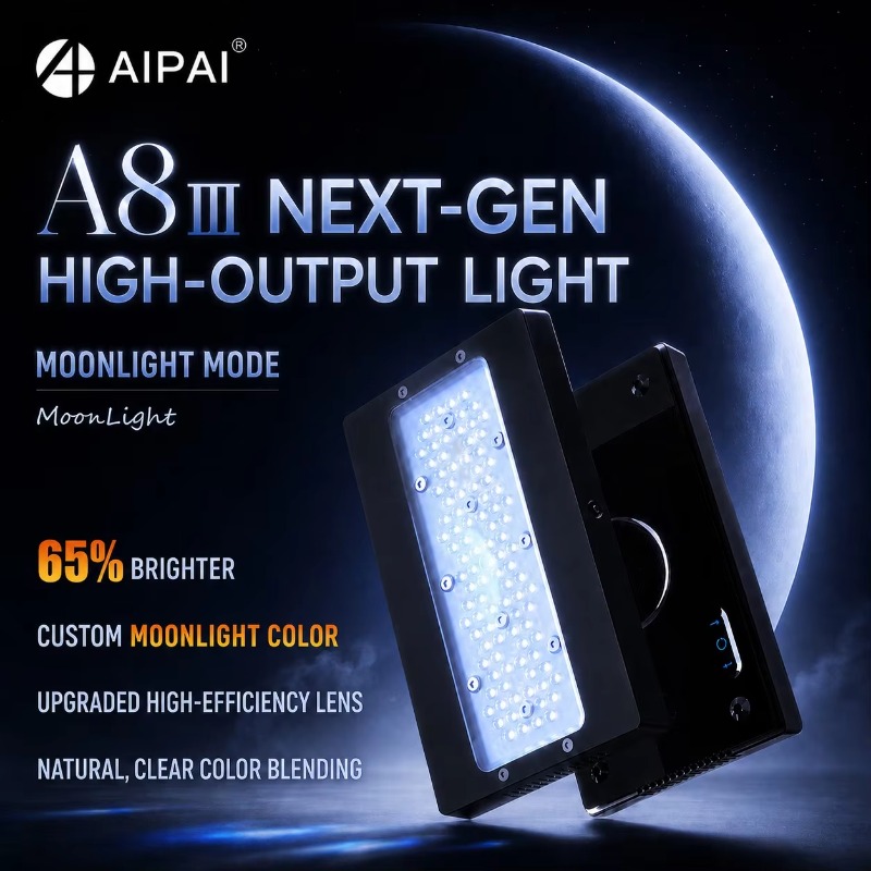 AIPAI A8 III Series A8SE/A8 Pr - Marine Coral ulasan dan harga