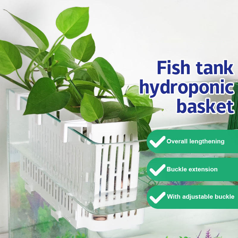【F】Fish Tank Hanging Planter A - Marine Aquarium ulasan dan harga