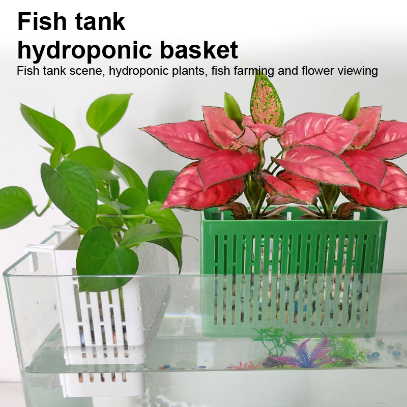 【F】Fish Tank Hanging Planter A - Marine Aquarium ulasan dan harga